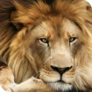 Jered Hoss Jered Hoss