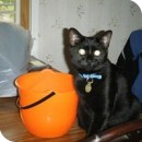 Kelly Mattei Kelly Mattei