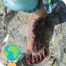 S Amadis Garth S Amadis Garth