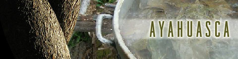 Ayahuasca
