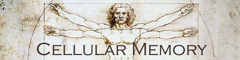 Cellular Memory