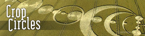 Crop Circles