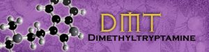 Dimethyl Tryptamine