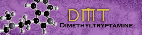Dimethyl Tryptamine