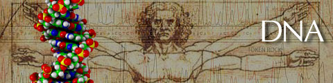 DNA