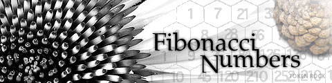 Fibonacci Numbers