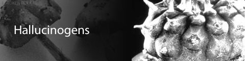 Hallucinogens