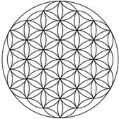 Flower of Life