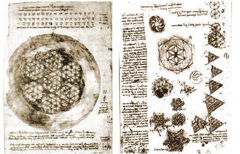 Leonardo da Vinci Studies of the Flower of Life
