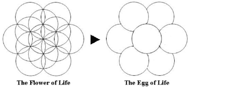 Egg of Life
