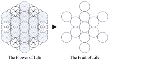 Fruit of Life