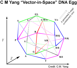 Vector in Space - DNA Egg