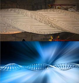 Apprentice Pillar and DNA