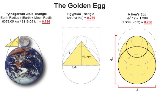Golden Egg Equation