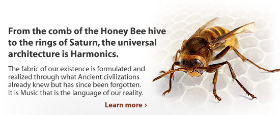 harmonic_bee Harmonic Bee