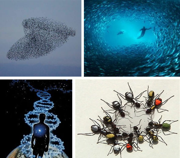 Hyper-Communication in Nature