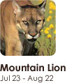 nativesign_lion Mountain Lion