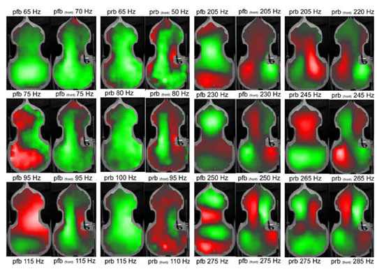 Cello Resonance Patterns