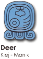 Deer Tzolkin